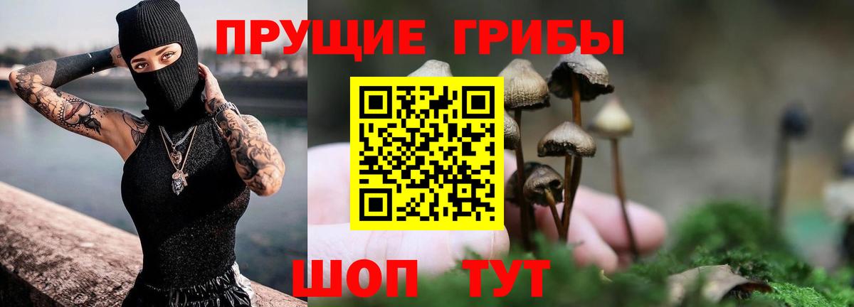 Выкса  Галлюциногенные грибы мицелий  Вход с VPN 