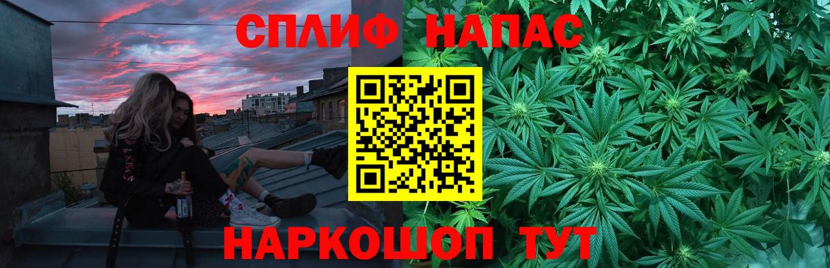 Конопля гибрид Выкса